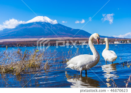 Beautiful landscape of mountain fuji around yamanakako lake Beautiful landscape of mountain fuji around yamanakako lake 46870623