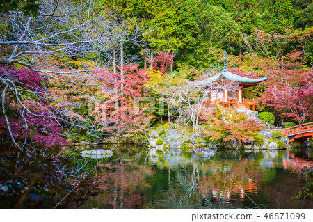 Beautiful Daigoji temple with colorful tree and leaf in autumn season 46871099