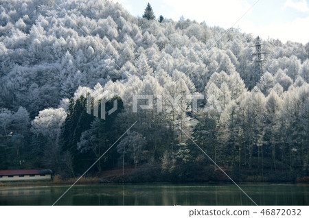Winter landscape of the lakeside with blooming hoarfrost Winter landscape of the lakeside with blooming hoarfrost 46872032