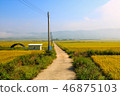 Rural landscape 46875103