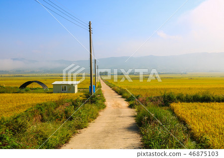 Rural landscape 46875103