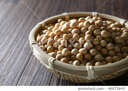 大豆 大豆 46875643