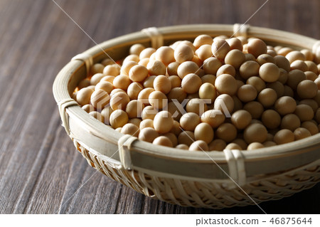 soy soy 46875644