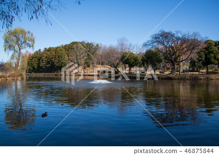 Ageo Maruyama Park winter scenery Ageo City 46875844