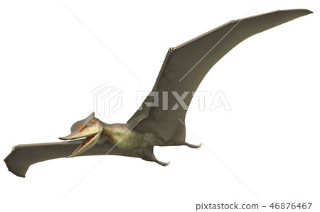 Pterosaur: Zungariptels Pterosaur: Zungariptels 46876467