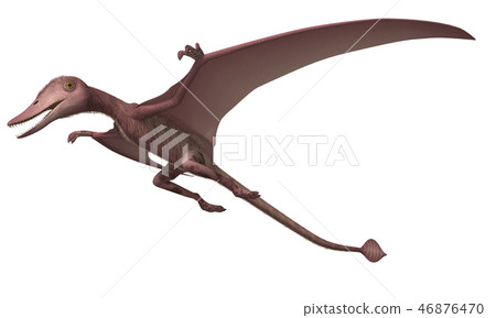 翼龍:Campirogoniatoides 翼龍:Campirogoniatoides 46876470