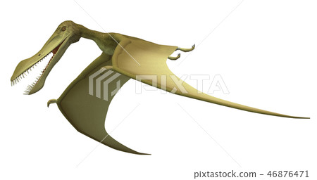 翼龍：安漢格拉 46876471