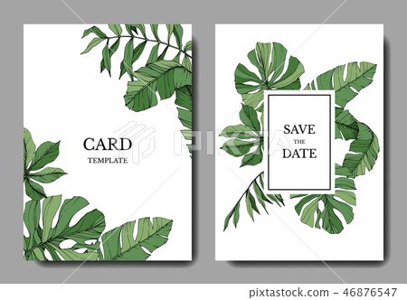 Vector Green leaf plant. Engraved ink art. Palm beach tree leaves. Wedding background card floral Vector Green leaf plant. Engraved ink art. Palm beach tree leaves. Wedding background card floral 46876547