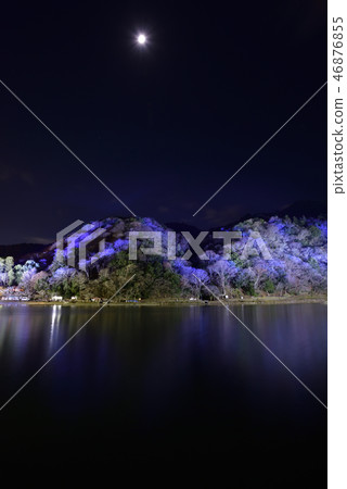 Arashiyama Hanatouro Daisu River (Katsura River) 46876855