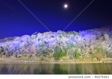 嵐山Hanatouro Daisu河(桂浦河) 嵐山Hanatouro Daisu河(桂浦河) 46876862