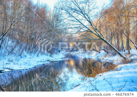 Scenic view of the river and trees in winter 46876974