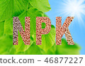 NPK letters made of fertilizers on leaves backgrou 46877227