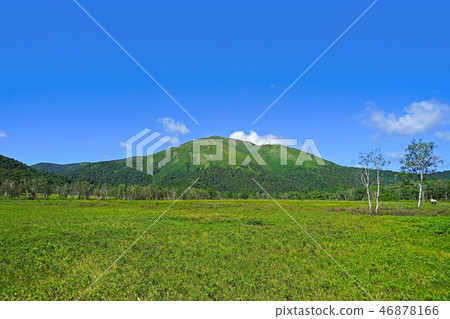 Oze景觀（六月） 46878166