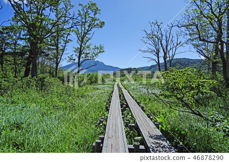 Landscape of Oze (June) 46878290