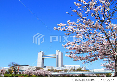 Spring Nagoya city cityscape 46879077