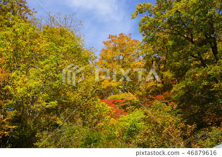 A narrow mountain road to summer oil hot spring 46879616