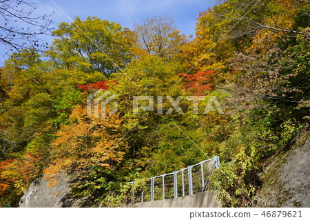 A narrow mountain road to summer oil hot spring A narrow mountain road to summer oil hot spring 46879621
