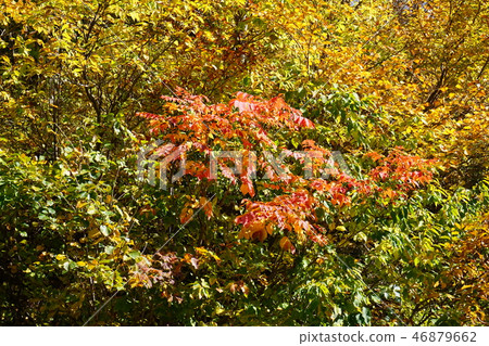 A narrow mountain road to summer oil hot spring 46879662