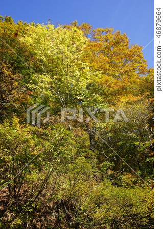 A narrow mountain road to summer oil hot spring 46879664