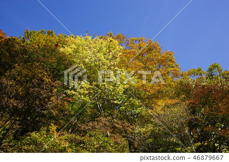 A narrow mountain road to summer oil hot spring A narrow mountain road to summer oil hot spring 46879667