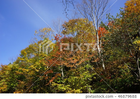 A narrow mountain road to summer oil hot spring A narrow mountain road to summer oil hot spring 46879688