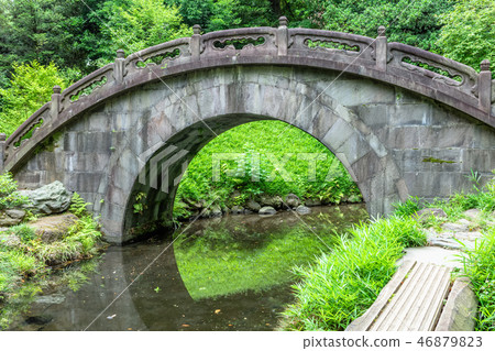 東京雨季的小石川後樂園 46879823