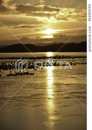 Morning of Izu-numa Morning of Izu-numa 46880949