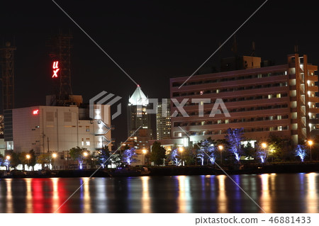 Niigata Prefecture Yanatsu Ohashi and carpet of light Niigata Prefecture Yanatsu Ohashi and carpet of light 46881433