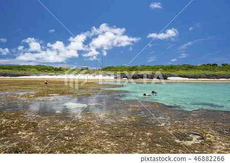 Nakamoto coast at the time of Kuroshima low tide Nakamoto coast at the time of Kuroshima low tide 46882266