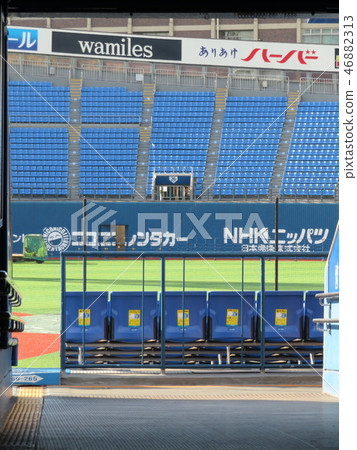橫濱體育場 46882313