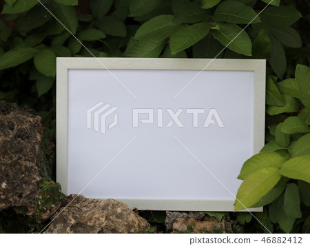 Control and whiteboard Control and whiteboard 46882412