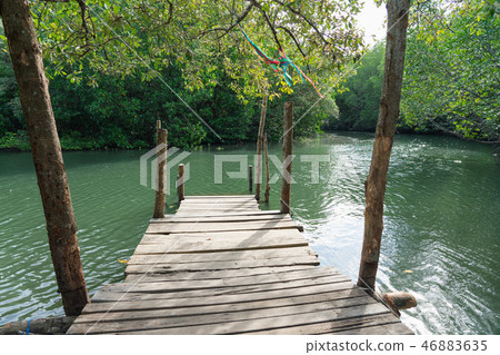 Small Pier Going out to the mangrove forest 46883635