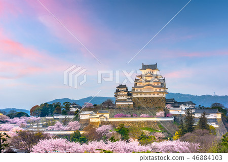 Himeji Castle, Japan in Spring Season Himeji Castle, Japan in Spring Season 46884103