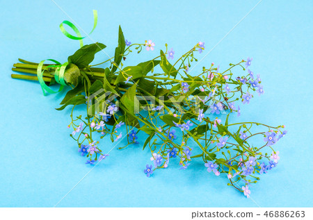 Small bouquet with blue flowers 46886263