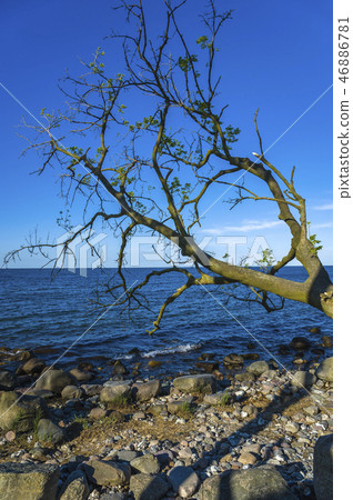 Steep coast in Staberhuk Steep coast in Staberhuk 46886781