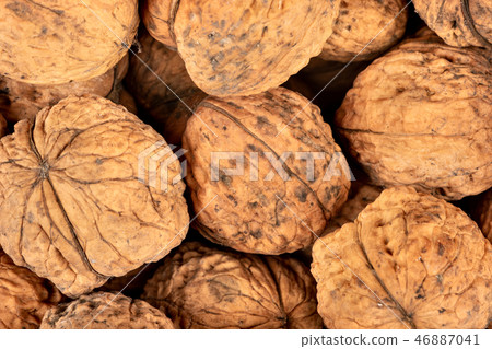 Big walnuts closeup Big walnuts closeup 46887041