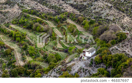 Country home with plant farm Country home with plant farm 46887697