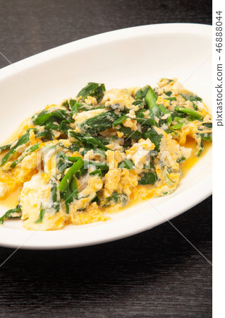 一個菊花球 46888044