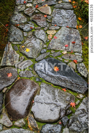 When it rains in Shikaoin, the leaves fall on the cobblestones of the approach 46889136