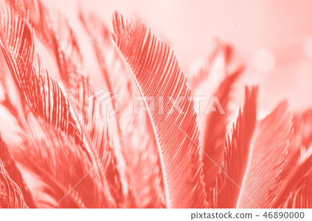 hemp palm tree leaves in living coral color hemp palm tree leaves in living coral color 46890000