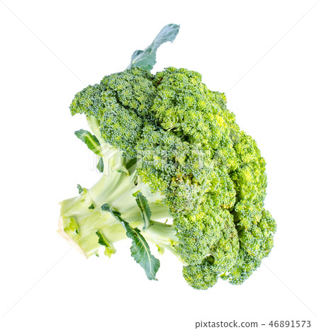 Organic vegetables. Broccoli on white background Organic vegetables. Broccoli on white background 46891573