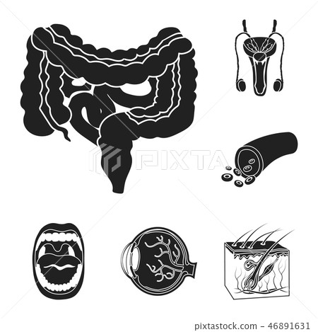 Internal organs of a human black icons in set collection for design. Anatomy and medicine vector 46891631