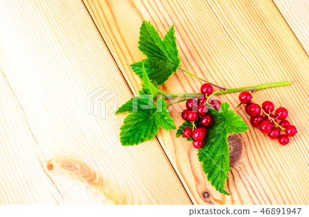 Red currant branch with berries and green leaves Red currant branch with berries and green leaves 46891947