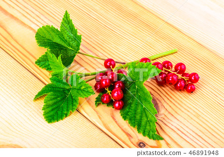 Red currant branch with berries and green leaves Red currant branch with berries and green leaves 46891948