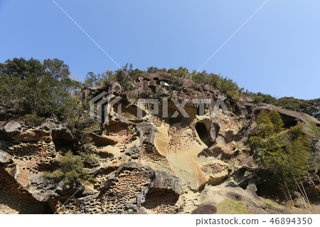 Bugs of Kozagawa Town Takaike 46894350