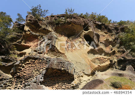 Bugs of Kozagawa Town Takaike Bugs of Kozagawa Town Takaike 46894354