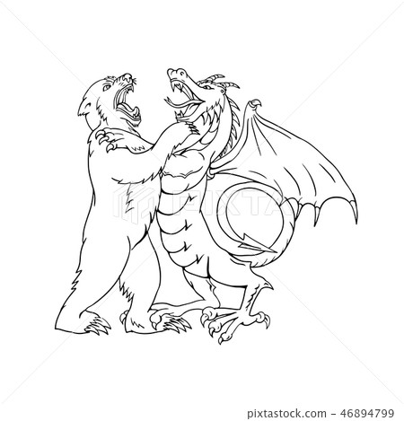Bear Fighting Chinese Dragon Drawing  46894799