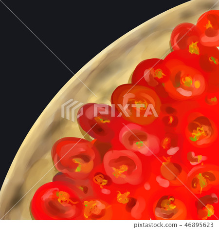 Marinara比薩餅/比薩餅 46895623