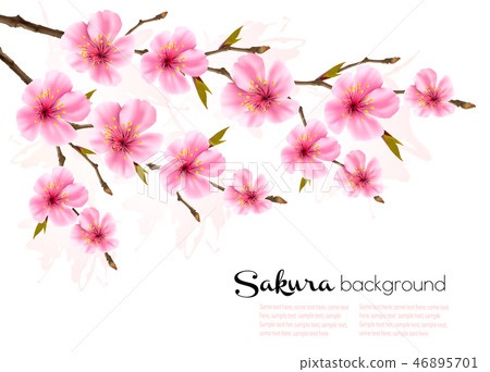 Spring background with Sakura japan cherry Spring background with Sakura japan cherry 46895701