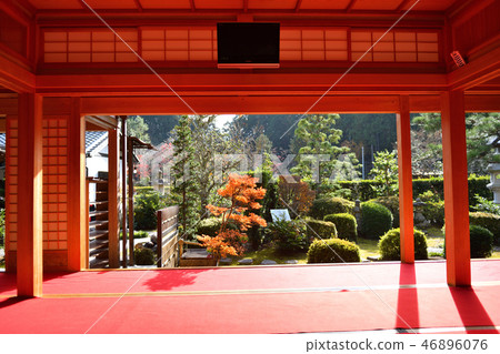 Oike寺秋葉2018年 46896076